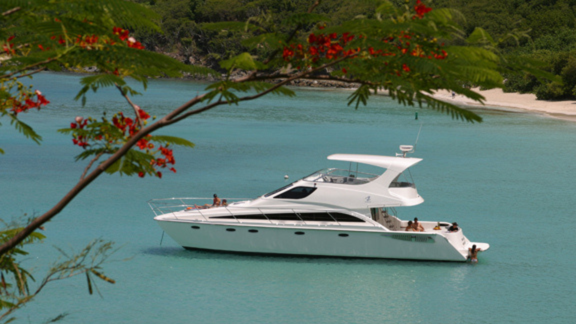 Stealth Yachts (1)